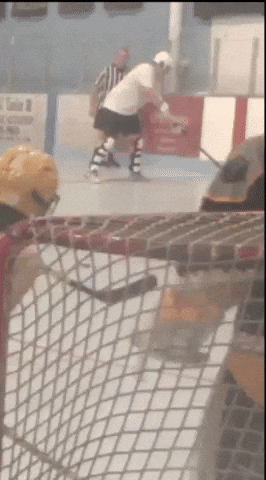 Ball Hockey GIF by USABH_giphy