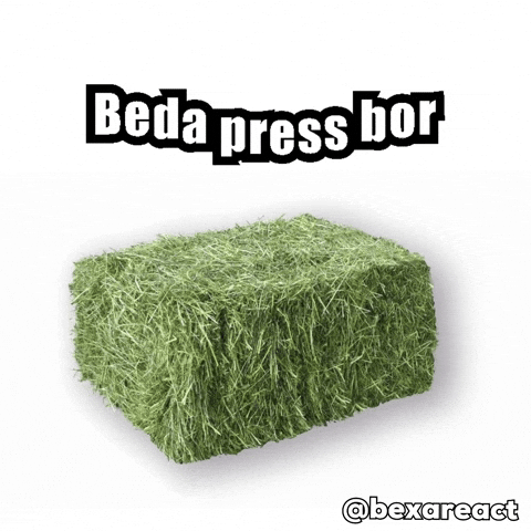 Press Beda GIF