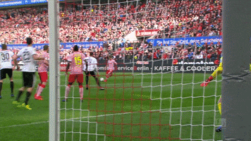 jonas hector football GIF by 1. FC Köln