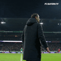 200.gif?cid=fc005b0880e4fce988b7ccc891ef7ee893ca090974ac26c2&rid=200.gif&ct=g