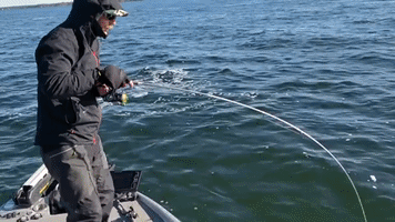 GIF by Mystery Tackle Box