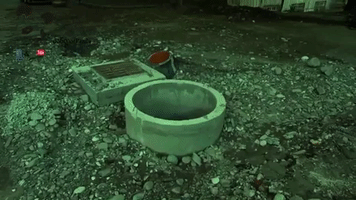 Panda Á¢Á ÁÁÁÁÁ Á GIF