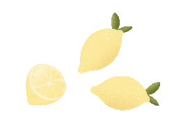 Fruit Lemon Sticker