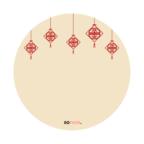 Sonicevietnam Sticker by sonice