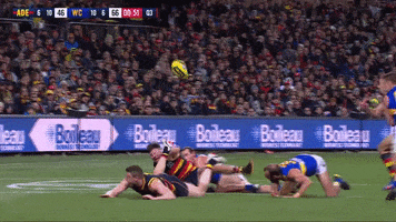round 15 soccer GIF by Adelaide Crows