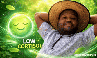 Arroz Huevos GIF