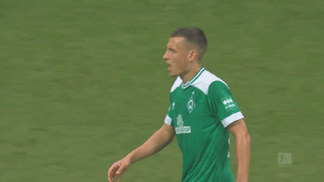 bundesliga hannover96 GIF by SV Werder Bremen