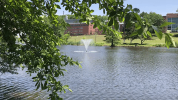 spring campus pond GIF by UMass Amherst