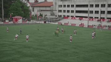 New York Red Bulls Goal GIF by NYRB II