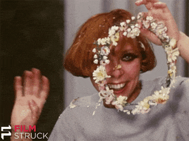 criterion collection daisies GIF by FilmStruck
