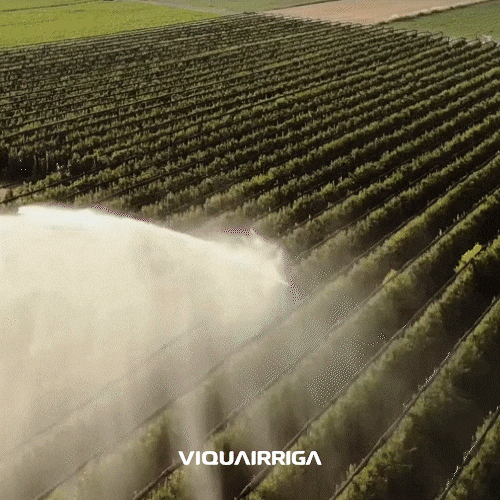 Irriga GIF by grupokrona