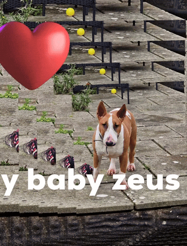 My Baby Zeus GIF