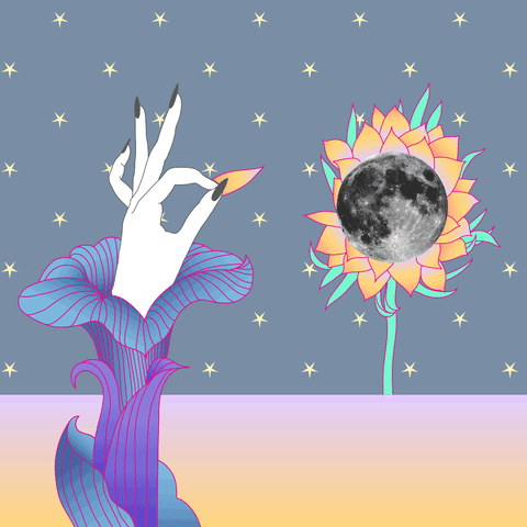 Starry Night GIF