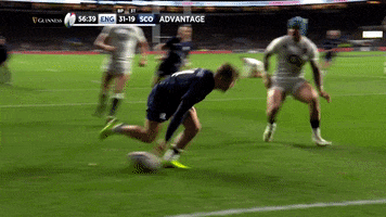 celebrate darcy graham GIF by Guinness Six Nations