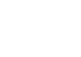 Logo Brand Sticker by Die neue Volkspartei