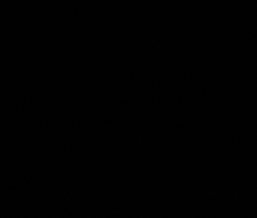 GIF by SqueezeDeCitron