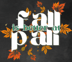 Pali Adventures GIF by Pali Institute