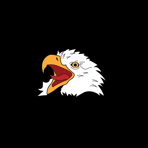 bird america GIF