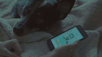 more to love tinder GIF by Topshelf Records