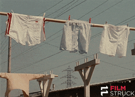 drying good morning GIF by FilmStruck