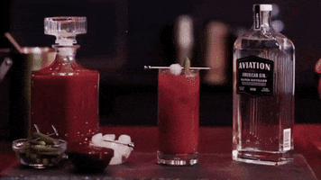 Party Beer GIF by Aviation Gin