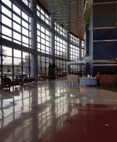 Masinternational GIF
