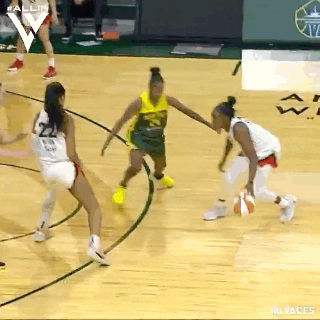 Womens Basketball Wnba GIF by Basketfem