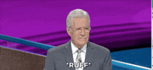 Alex Trebek Dog GIF by Jeopardy!
