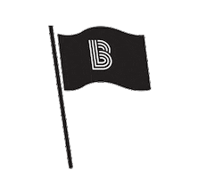 Flag Waving Sticker by Big Brothers Big Sisters