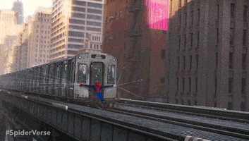 Spider-Man Movie GIF by Spider-Man: Into The Spider-Verse