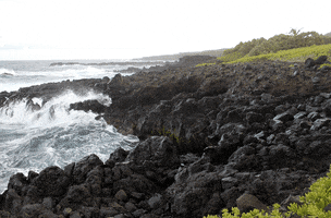 geoffrey kipahulu coastline maui GIF