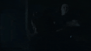 estebangonzalezdeleon game of thrones GIF