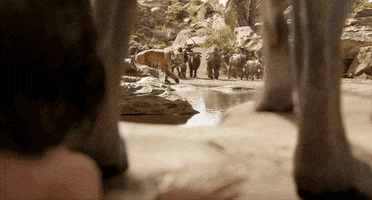 Jon Favreau Disney GIF by Disney's The Jungle Book