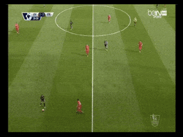 goals  GIF