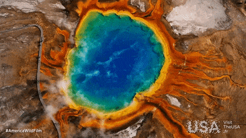 America Wild Film GIF by Visit The USA FR