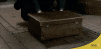 uber7 animais fantasticos e onde habitam GIF