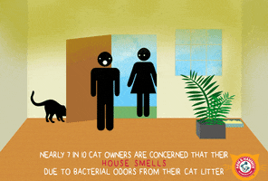 Cat GIF by ARM & HAMMER™ Clump & Seal™ MicroGuard™