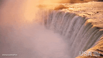 America Wild Film GIF by Visite os USA