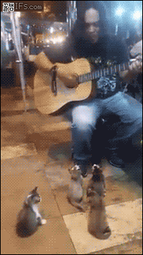 mulderfox  GIF