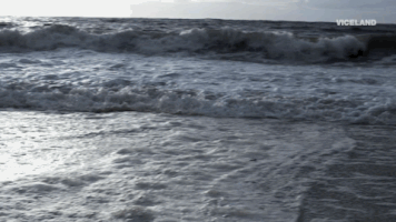 200.gif?cid=fc005b0866c373125ccd3a97f7db8f90efd3b7ce17968aa5&rid=200.gif&ct=g