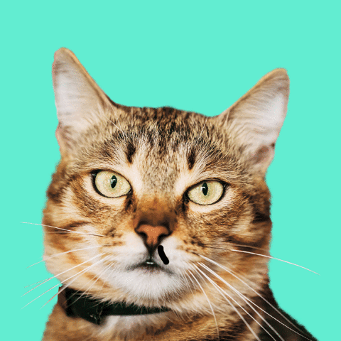 esmeaguilar gututus GIF