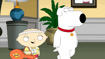 brian GIF by Family Guy