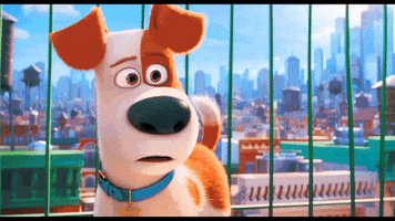 edwin-valdez dog life the pets GIF
