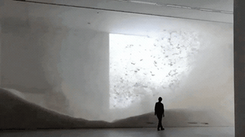 maxniederhofer hplus GIF