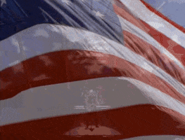 Country Music America GIF by Toby Keith