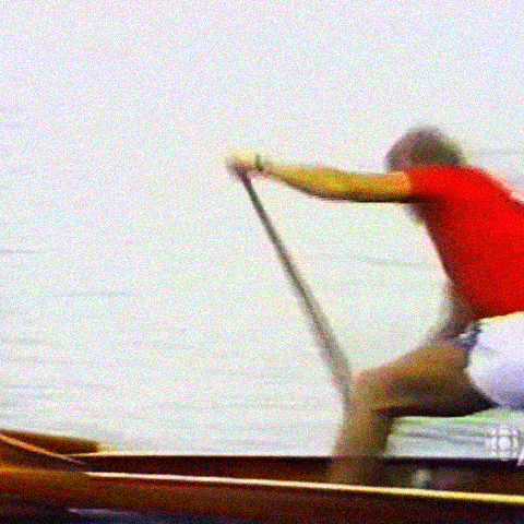 exprofesso olympic rowing row gold medal GIF