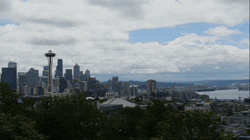 mls seattle GIF by NYCFC