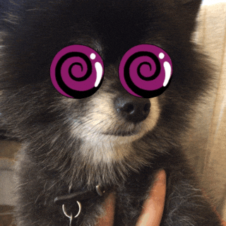 giphy.gif?cid=2154d3d7s2f8n1hzhnd1k24zqxczwlb1xrxbxyubd7xivwgc&ep=v1_gifs_related&rid=giphy.gif&ct=g