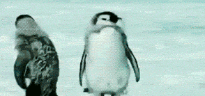 thea  GIF