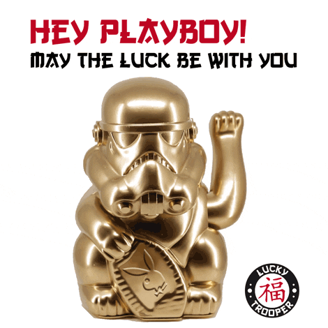 bernhardrauscher luck playboy luckytrooper GIF